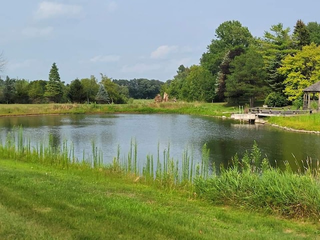 view of water feature