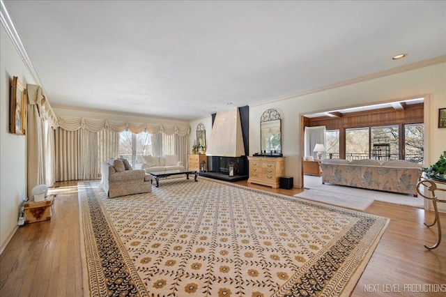 living area featuring ornamental molding, wood finished floors, and a wealth of natural light