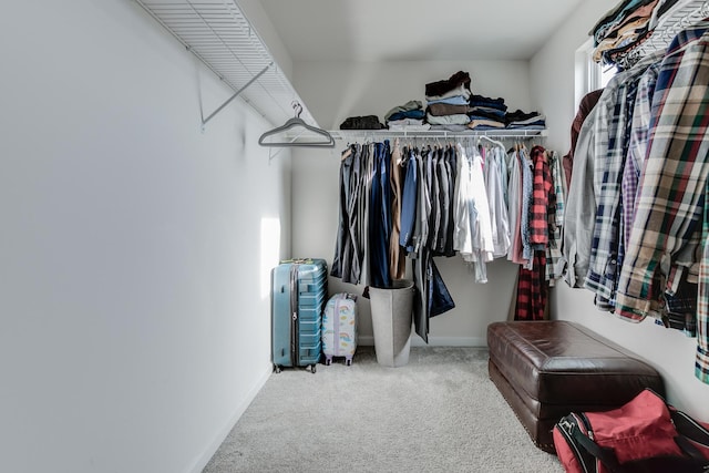 spacious closet featuring carpet flooring