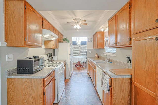 kitchen featuring crown molding, sink, white appliances, and ceiling fan