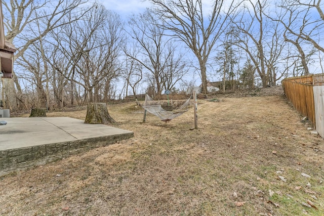 view of yard featuring a patio area