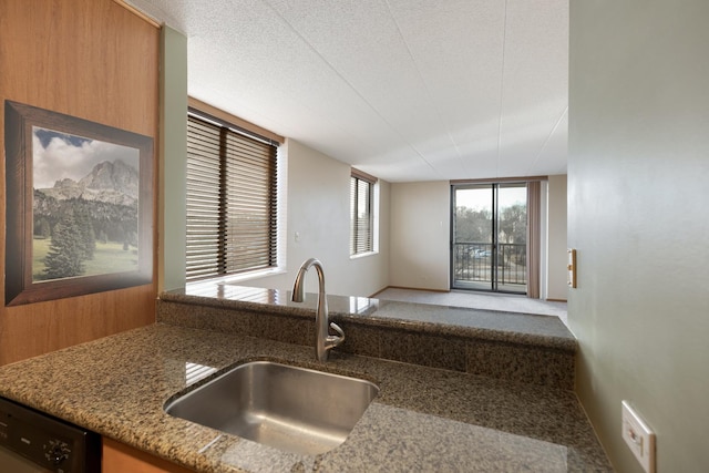 kitchen with stone countertops, dishwashing machine, and sink