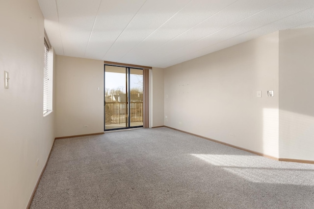 carpeted spare room with a wall of windows