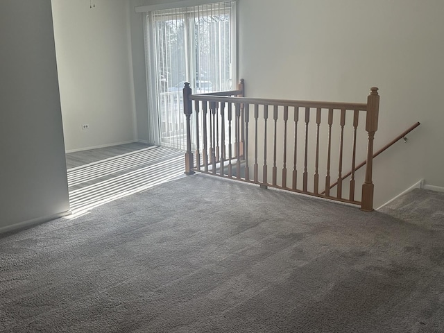 spare room with carpet floors