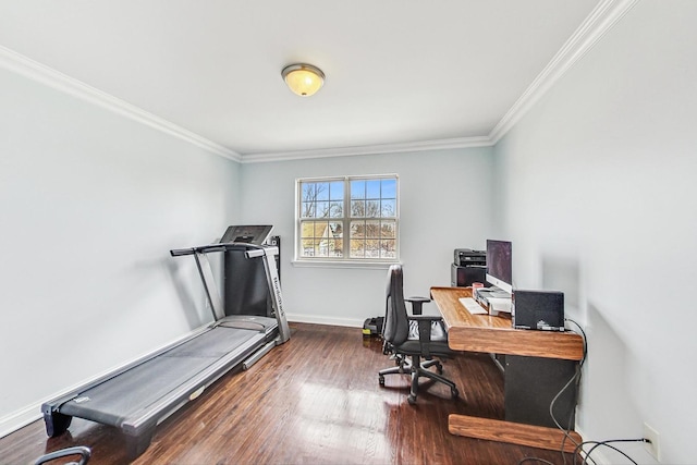 office with ornamental molding and hardwood / wood-style floors