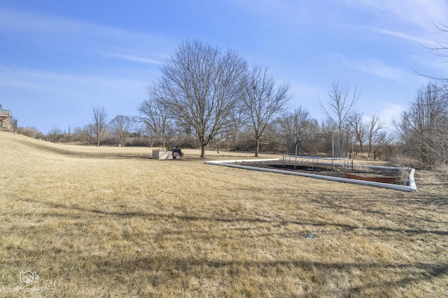 view of yard with a trampoline