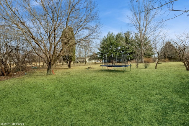 view of yard with a trampoline