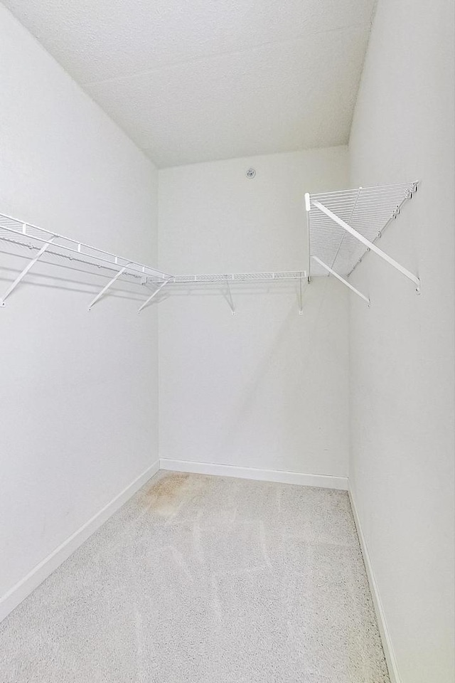 walk in closet featuring carpet floors