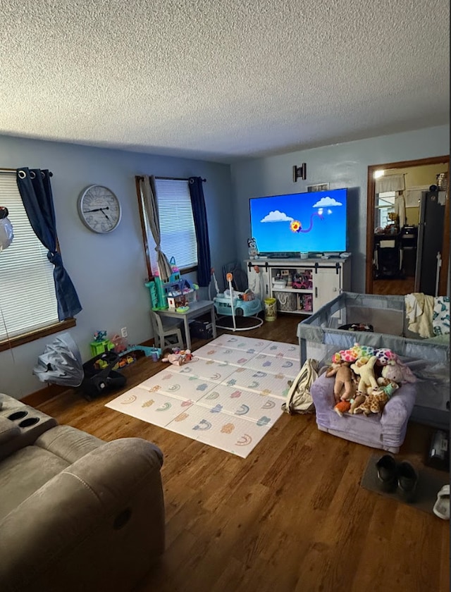 living room with hardwood / wood-style flooring and a textured ceiling