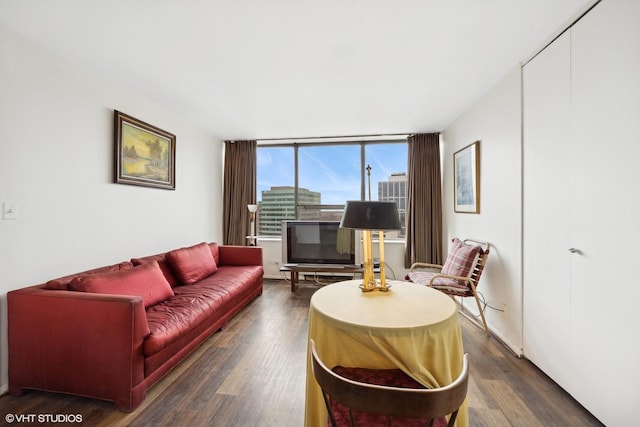 living room featuring dark hardwood / wood-style floors