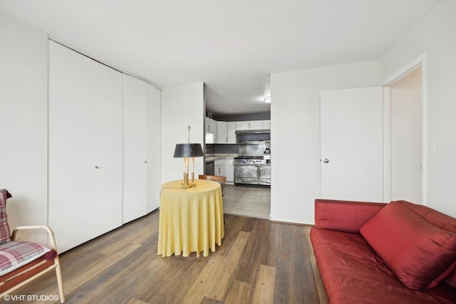 living room featuring dark wood-type flooring