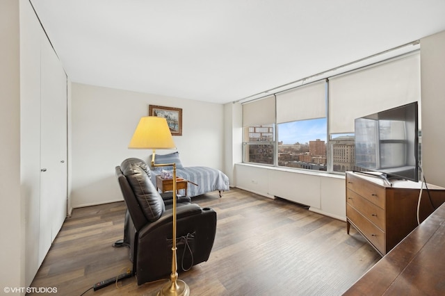 bedroom with hardwood / wood-style floors