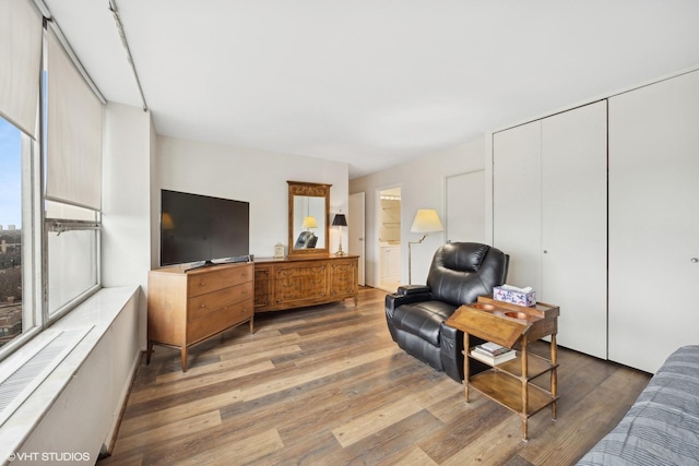 living room with wood-type flooring