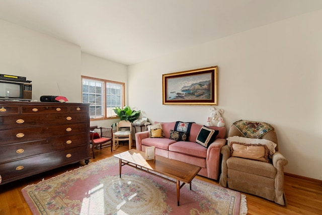 living room featuring light hardwood / wood-style flooring