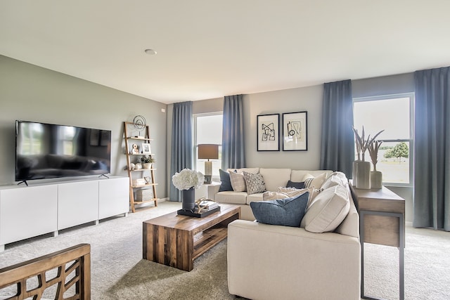 carpeted living room with a wealth of natural light