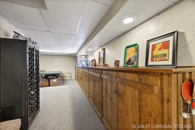 bar featuring a drop ceiling and carpet flooring