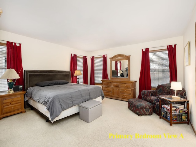 bedroom featuring carpet floors