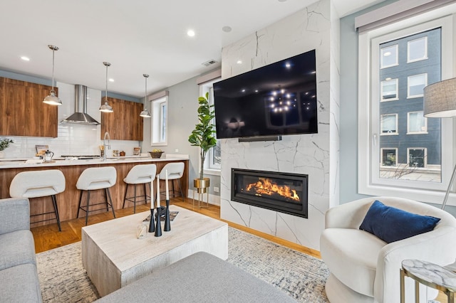 living room featuring a fireplace and light wood-type flooring