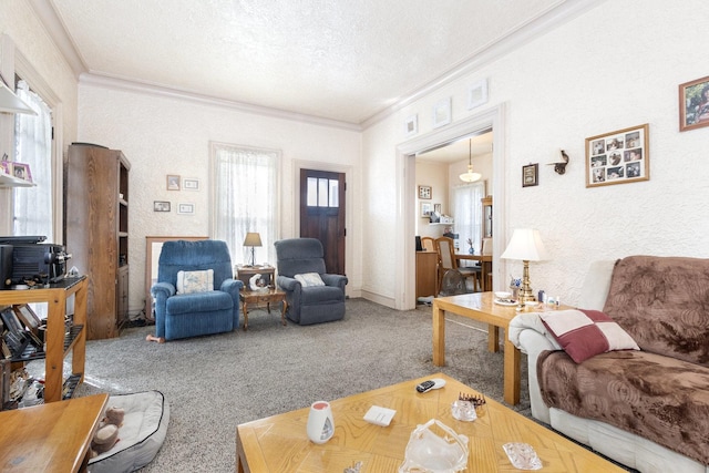 living area with a textured ceiling, carpet, a textured wall, and ornamental molding