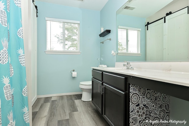 bathroom with hardwood / wood-style flooring, vanity, and toilet