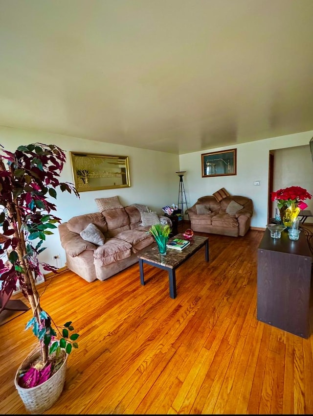 living room with hardwood / wood-style flooring