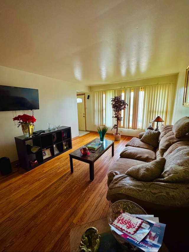 living room with hardwood / wood-style flooring