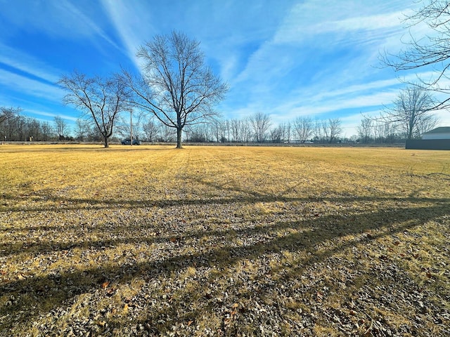 view of yard with a rural view