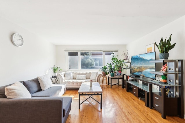 living room featuring light wood-type flooring