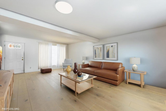 living area featuring light wood finished floors