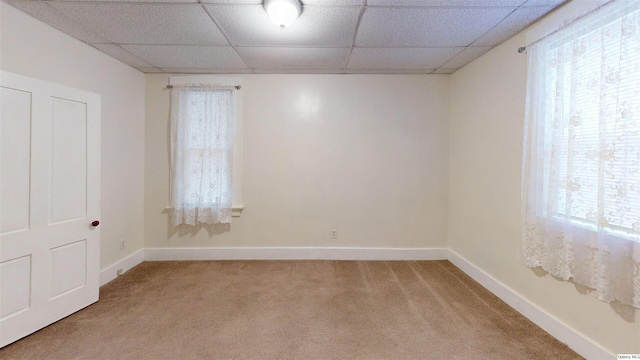 unfurnished room with light carpet, a paneled ceiling, and a healthy amount of sunlight