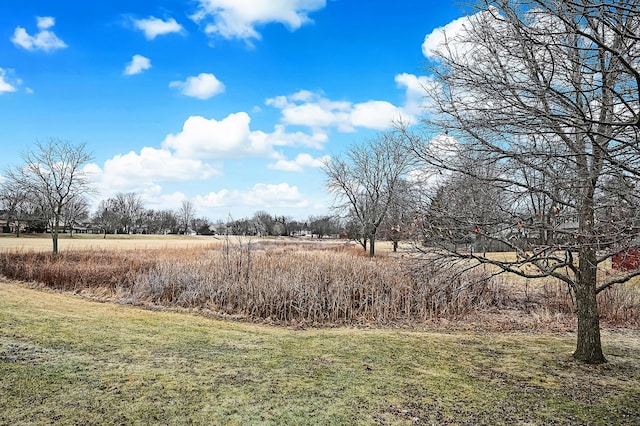 view of yard featuring a rural view