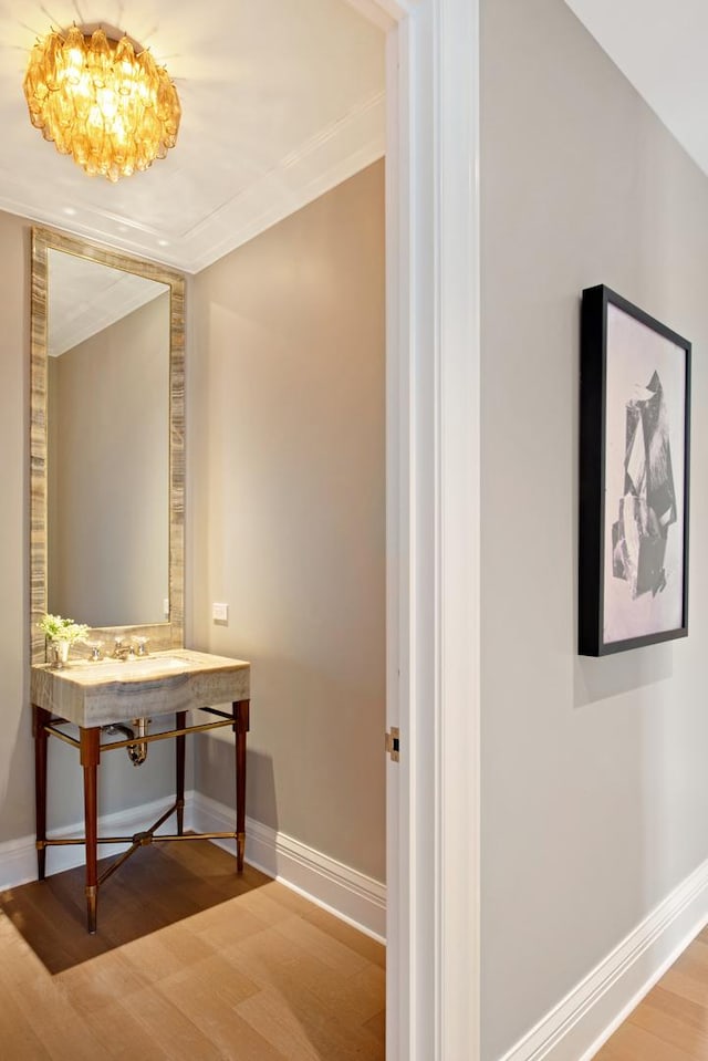 corridor featuring crown molding and light wood-type flooring