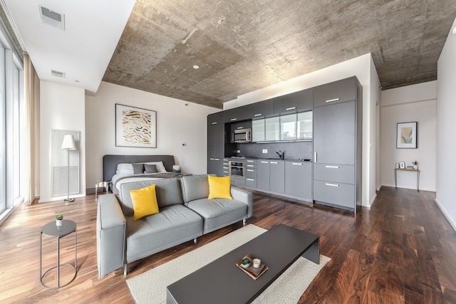 living room with sink and dark hardwood / wood-style floors