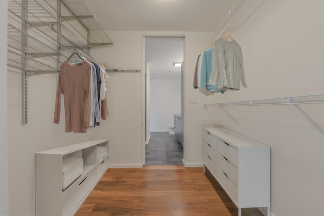 spacious closet featuring hardwood / wood-style floors