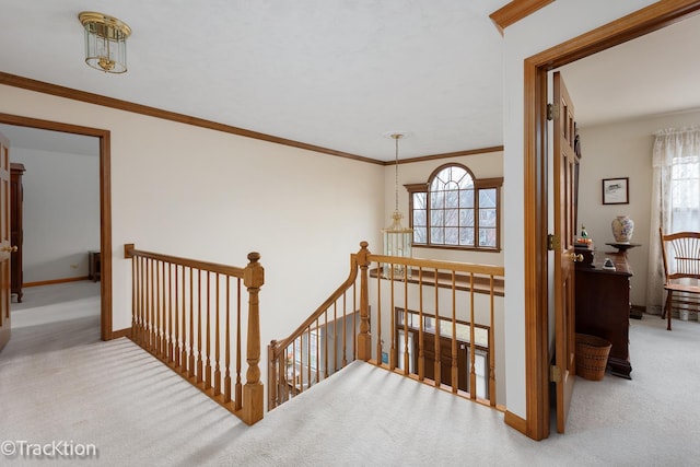 hallway with ornamental molding, plenty of natural light, and carpet floors