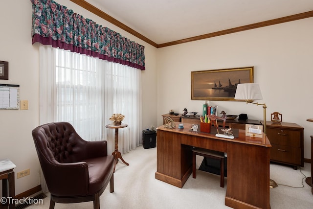 carpeted home office featuring ornamental molding