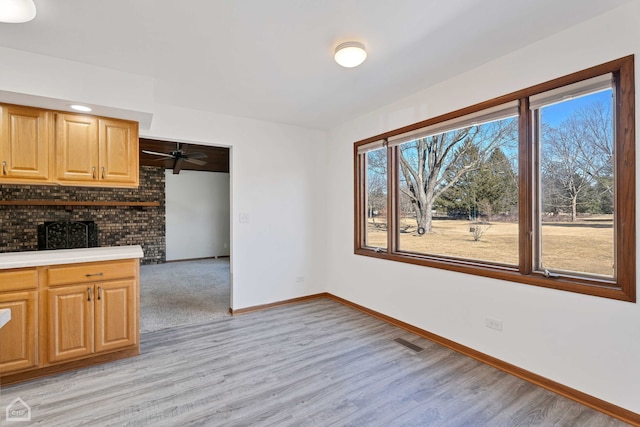 kitchen featuring light wood-type flooring