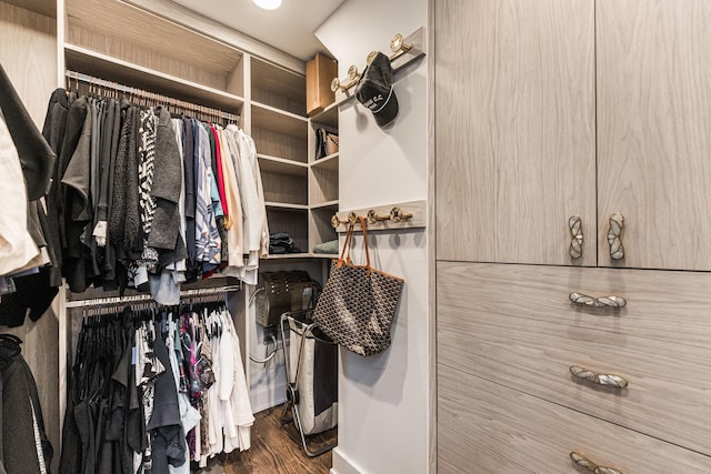 spacious closet featuring wood finished floors