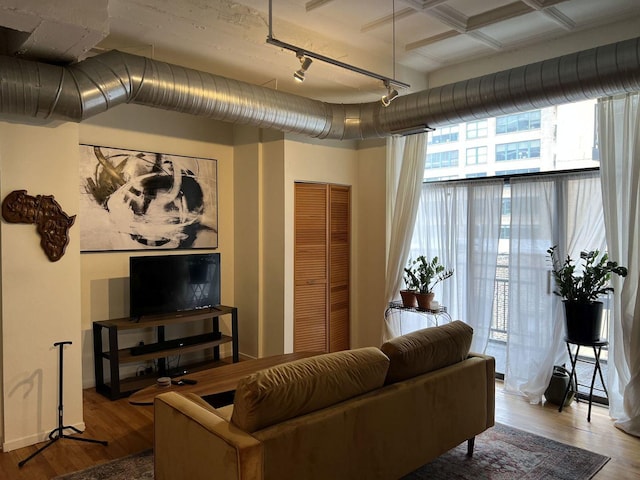 living room featuring hardwood / wood-style flooring and rail lighting