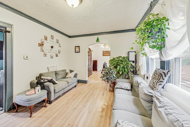 living room featuring ornamental molding, hardwood / wood-style floors, and a textured ceiling