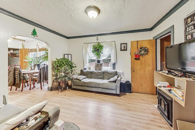 living room featuring ornamental molding, light hardwood / wood-style floors, and a textured ceiling