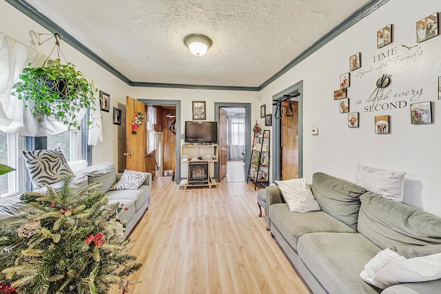 living room featuring hardwood / wood-style flooring, ornamental molding, and a textured ceiling