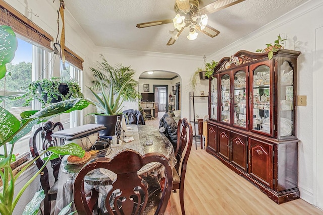 dining room with crown molding, ceiling fan, a textured ceiling, and light hardwood / wood-style flooring