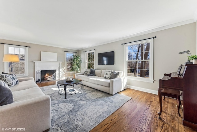 living room featuring a healthy amount of sunlight, baseboards, ornamental molding, and wood finished floors