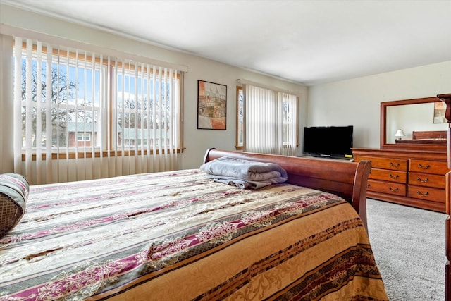 bedroom featuring multiple windows and carpet