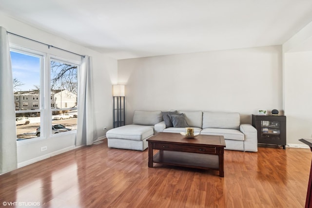 living room with wood-type flooring