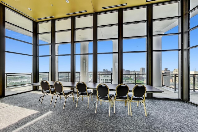 interior space with a wall of windows, a view of city, a healthy amount of sunlight, and carpet floors