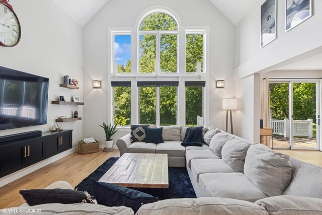 37580 N Fairfield Rd, Lake Villa, IL 60046 - living room featuring high vaulted ceiling and wood finished floors
