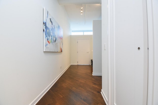 hall featuring dark hardwood / wood-style floors and track lighting