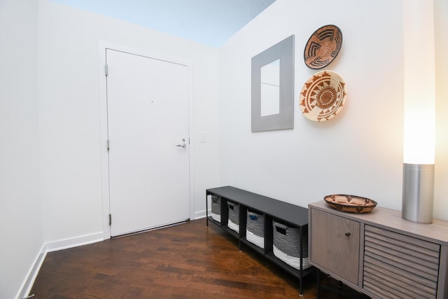 entryway with dark hardwood / wood-style floors